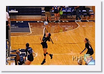 vs Seaman * (258 Slides)